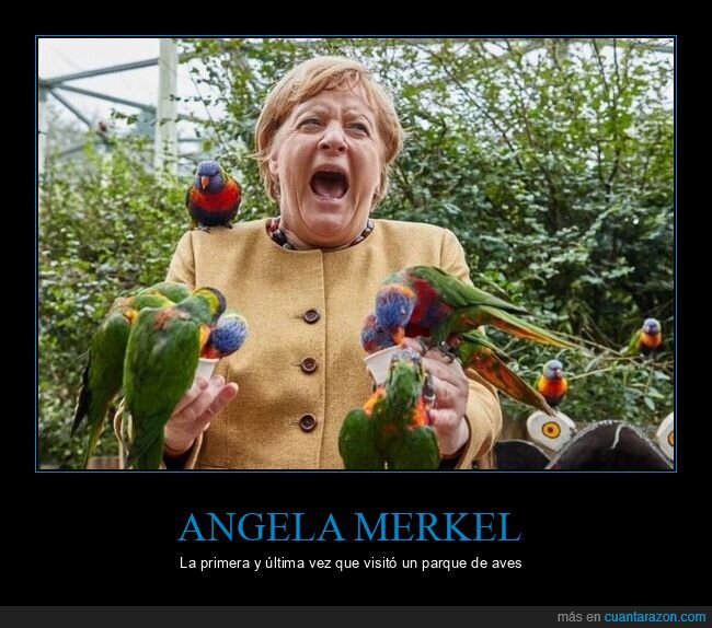 angela merkel,loros,políticos